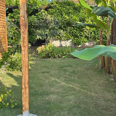Wooden Stage Homes * فتحية