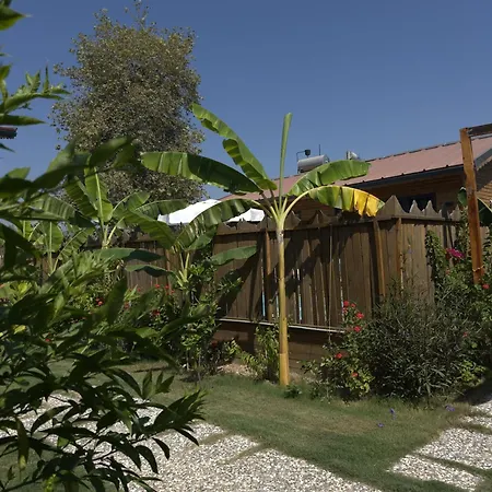 Wooden Stage Homes Hébergement de vacances