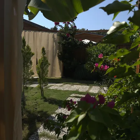 بيت للعطل Wooden Stage Homes *