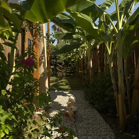 Feriehus Wooden Stage Homes Fethiye