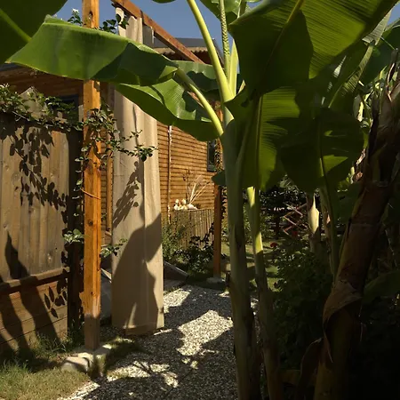 Wooden Stage Homes * فتحية