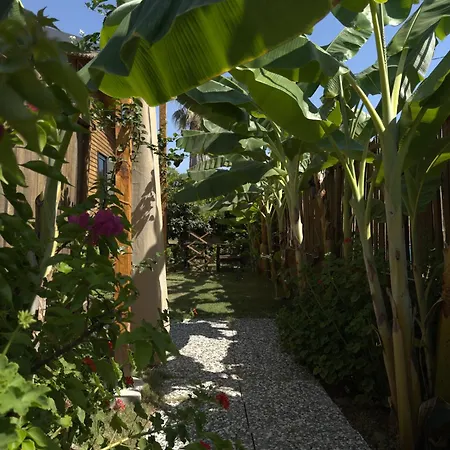 Wooden Stage Homes *