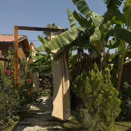 Wooden Stage Homes * فتحية