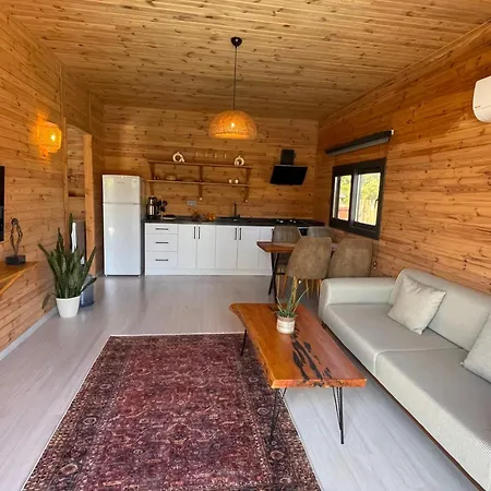 Wooden Stage Homes *