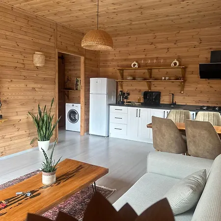 Wooden Stage Homes