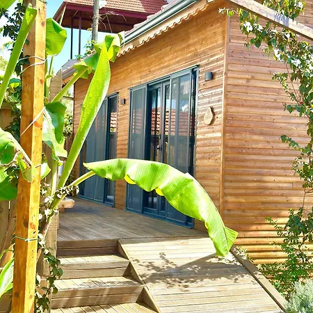 Wooden Stage Homes
