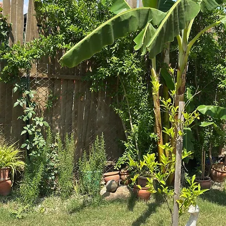 Дом отдыха Wooden Stage Homes