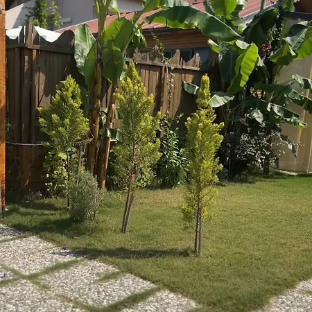 Wooden Stage Homes Дом отдыха