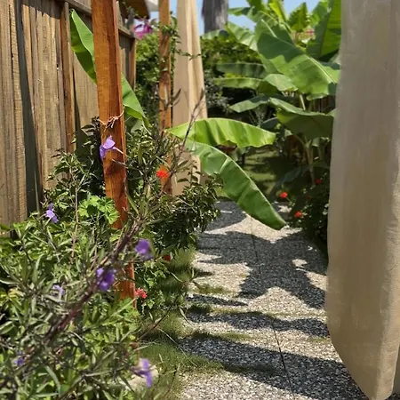 Wooden Stage Homes * Фетхие