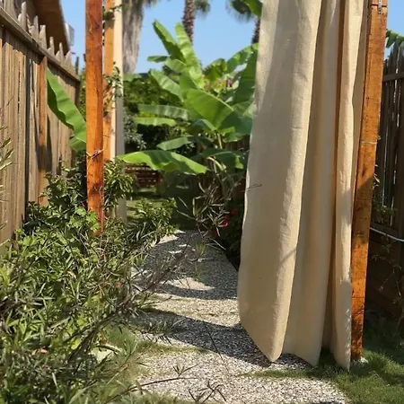 Wooden Stage Homes