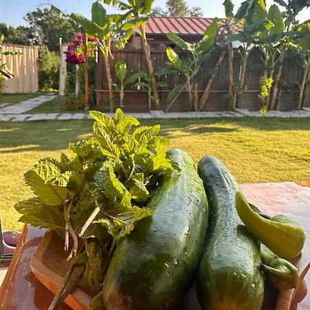 Дом отдыха Wooden Stage Homes